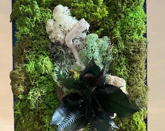 100% natural stabilized moss plant table