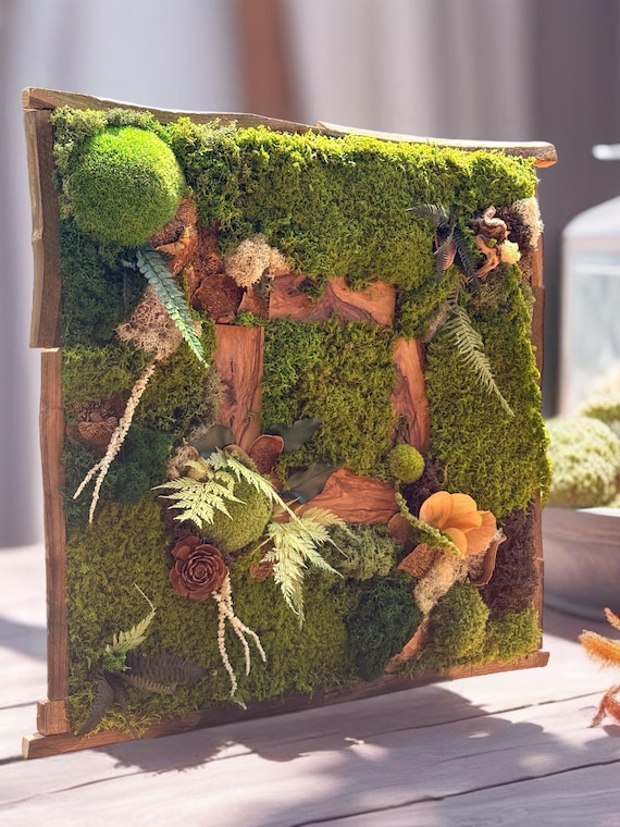 Cadre végétal stabilisé artisanal – Tableau végétal forêt enchantée – Décoration murale nature luxe en bois brut