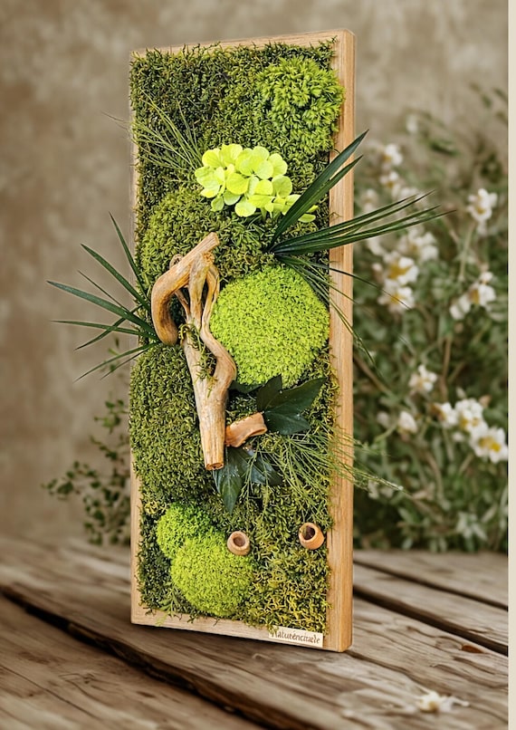 Cadre végétal stabilisé vertical 52 cm – Tableau végétal mural naturel en mousse et bois flotté – Décoration murale nature sans entretien