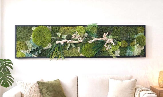 Cadre végétal XXL stabilisé – Art mural nature avec bois flotté – Tableau mousse premium fait main – Décoration murale haut de gamme salon
