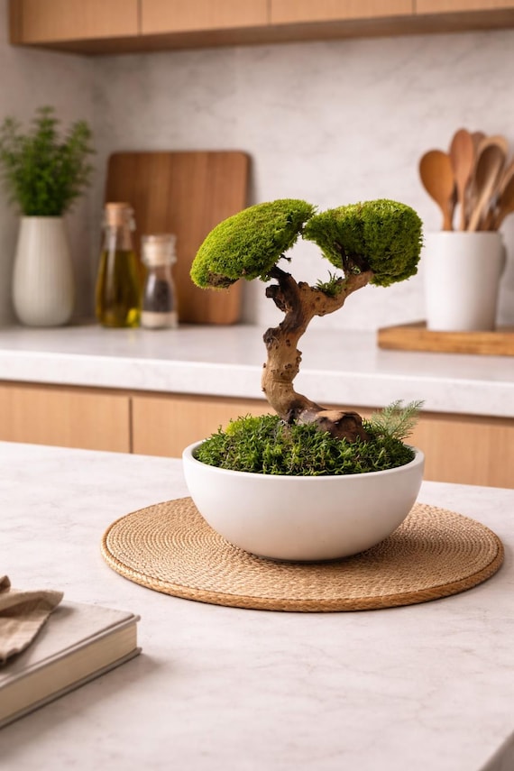 Bonsaï stabilisé design – Arbre décoratif zen en bois flotté et mousse – Décoration naturelle sans entretien – Cadeau bien-être