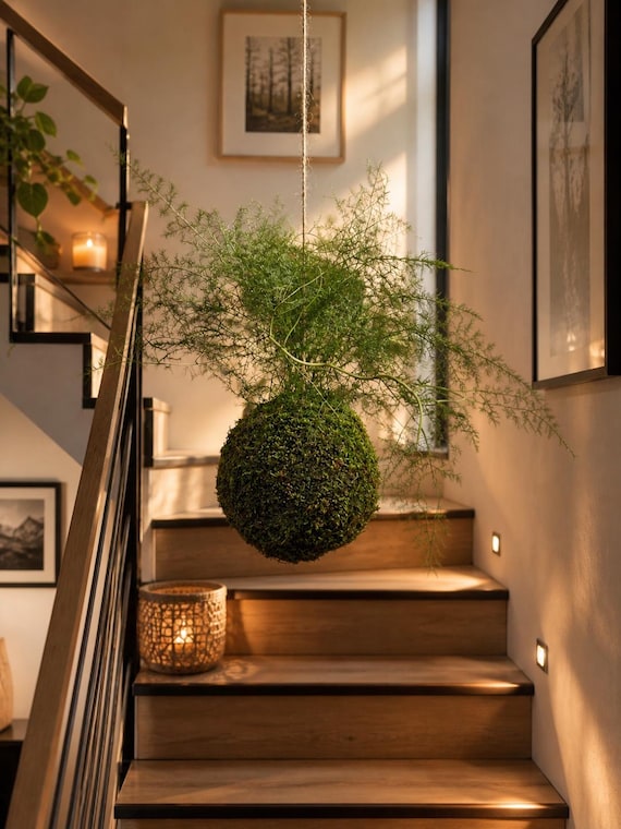 Kokedama suspendu en asparagus stabilisé – Art végétal aérien – Décoration zen bohème – Suspension végétale artisanale