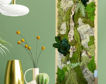 Cadre végétal mural en mousse stabilisée – Décoration d'intérieur murale nature – Pièce unique avec bois flotté et feuillage - Grand format