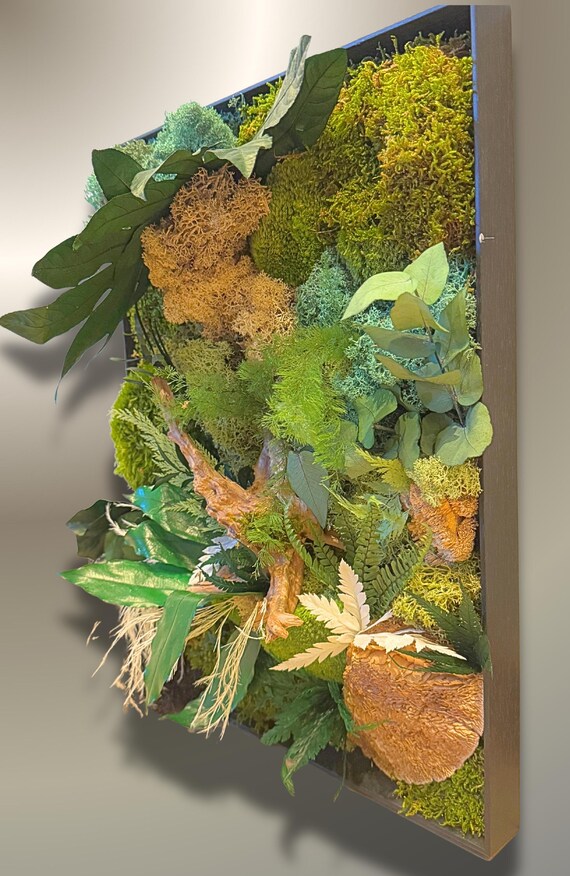 Cadre végétal stabilisé mural design – Tableau de mousse & feuillages naturels – Décoration murale artisanale en bois – Jardin vertical inté