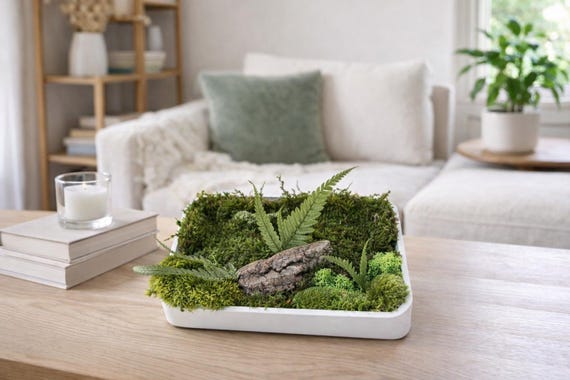 Cadre végétal stabilisé en mousse et fougères – Décoration murale naturelle horizontale ou verticale – idée cadeau Noël unique