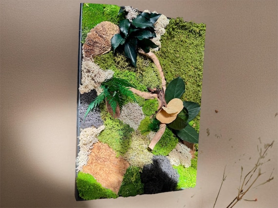 Cadre végétal stabilisé à poser ou accrocher – Mousse naturelle, bois, feuillage et fleur – fait main – Pièce unique- « la lisière »