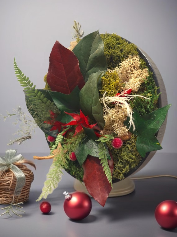 Cadre végétal de Noël – Couronne murale 24 cm – Décoration Noël naturelle – Art végétal stabilisé – Rouge & vert – Naturencadre