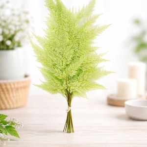 Peut inclure: Un bouquet de tiges de fougères artificielles vert clair attachées avec de la ficelle. La fougère a un aspect délicat et vaporeux, et les tiges sont d'un vert plus foncé. Le fond est blanc, doux et flou.