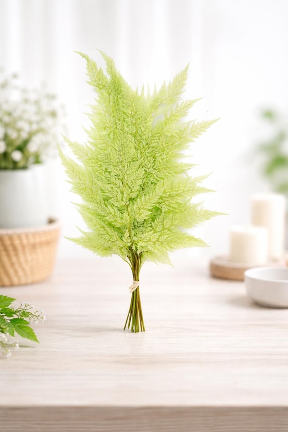 Fougères stabilisée vert printemps- Décoration végétale durable- sans entretien