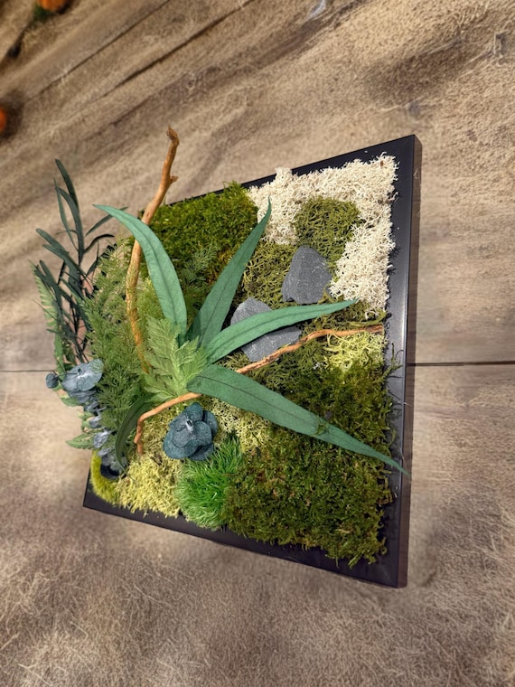 Cadre végétal stabilisé forêt | Tableau nature 22×22 cm | Mousse & fougères | Déco murale zen | Art végétal fait main – Naturencadre