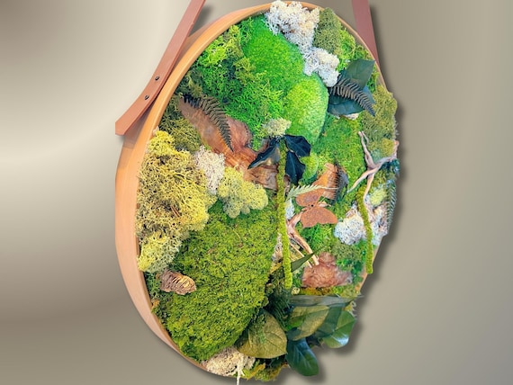 Cadre végétal mural rond – Déco d'intérieure naturelle en mousse stabilisée, bois flotté et feuillage – Papillon– Pièce unique fait main