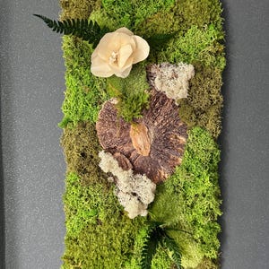 100% natuurlijke gestabiliseerde plantenverf