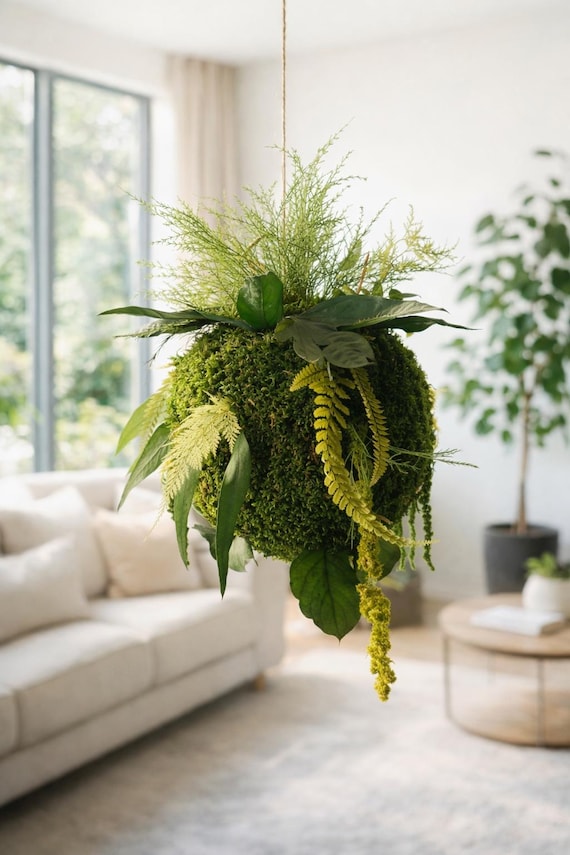 Kokedama suspendu stabilisé – Décoration murale naturelle haut de gamme – Boule végétale,fougères, asparagus – Entrée chic / escalier design