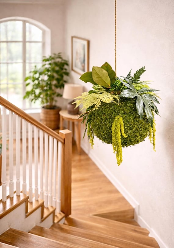 Kokedama végétal suspendu – Sphère végétale stabilisée – Décoration murale naturelle – Suspension plante sans entretien