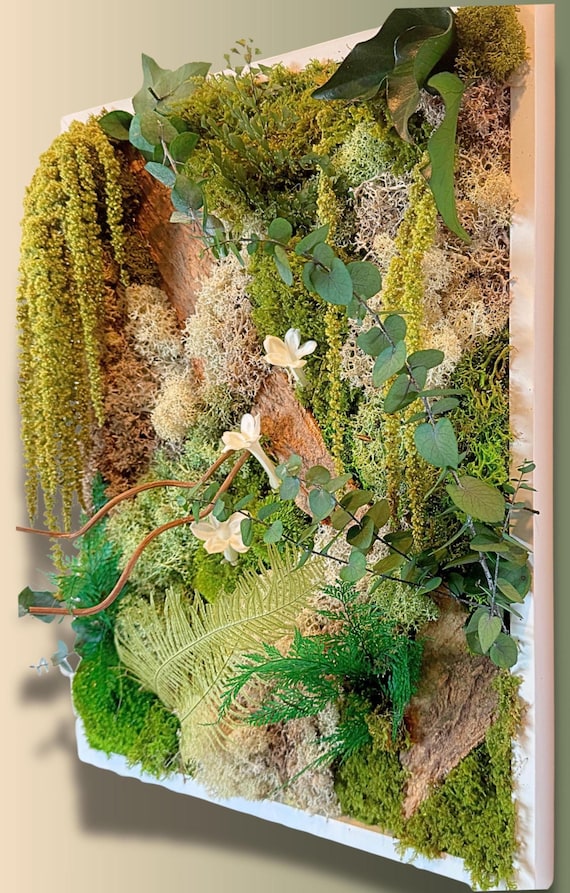 Tableau mural végétal en mousse naturelle stabilisée–  déco nature zen et poétique – « forêt exotique »