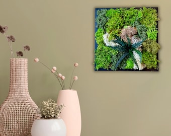 Petit Cadre végétal naturel en mousse stabilisée- unique-Déco d’intérieur
