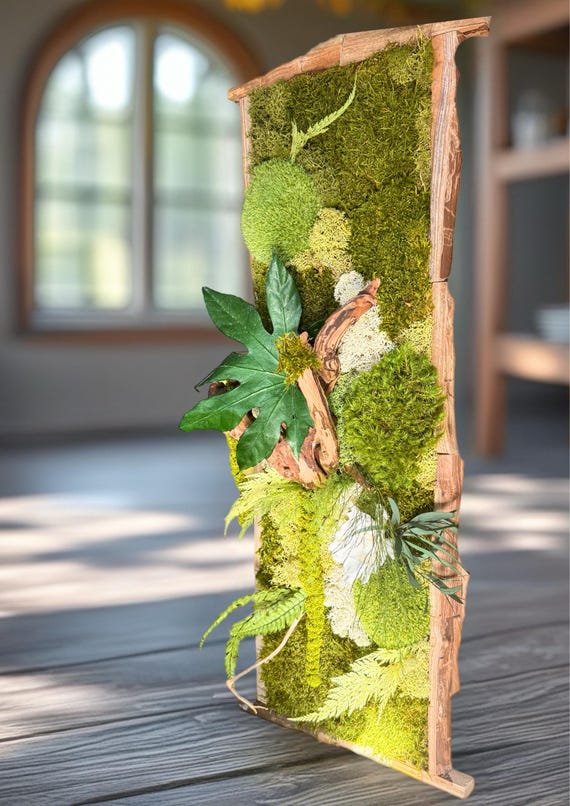 Cadre végétal stabilisé– Décoration murale naturelle haut de gamme – Bois brut et mousse – Style zen, bohème chic, sans entretien