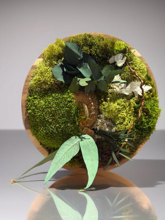Cadre végétal rond– Décoration murale naturelle en mousse stabilisée– Art végétal bohème & zen