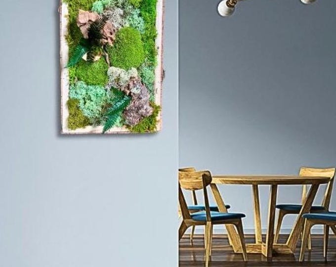 Featured listing image: Cadre végétal stabilisé – Déco d'intérieur naturelle murale bois, mousse et fougère – Forêt miniature apaisante- Pièce unique
