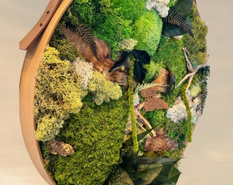 Cadre végétal mural rond – Déco d'intérieure naturelle en mousse stabilisée, bois flotté et feuillage – Papillon– Pièce unique fait main