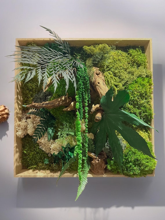 Cadre végétal naturel en mousse stabilisée, bois flotté, écorce de liège et feuillages – Décoration murale artisanale unique 40*40cm