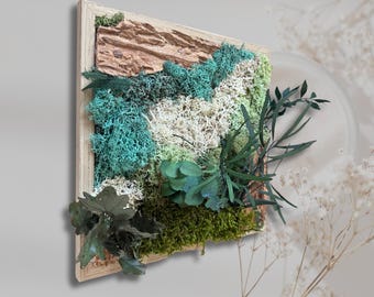 Cadre végétal stabilisé en mousse et feuillage – décoration murale naturelle avec écorce de bois – tableau végétal artisanal fait main