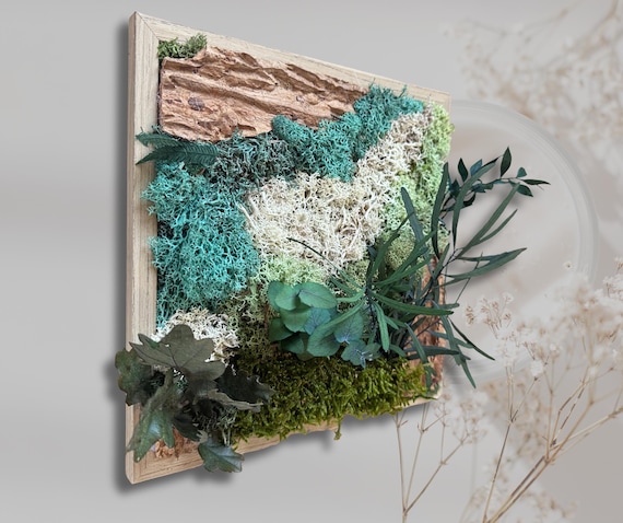 Cadre végétal stabilisé en mousse et feuillage – décoration murale naturelle avec écorce de bois – tableau végétal artisanal fait main