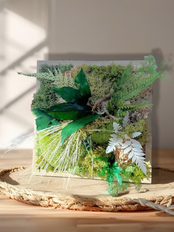 Cadre végétal stabilisé – Décoration murale naturelle en mousse préservée et feuillages – Art végétal fait main – Idée cadeau unique