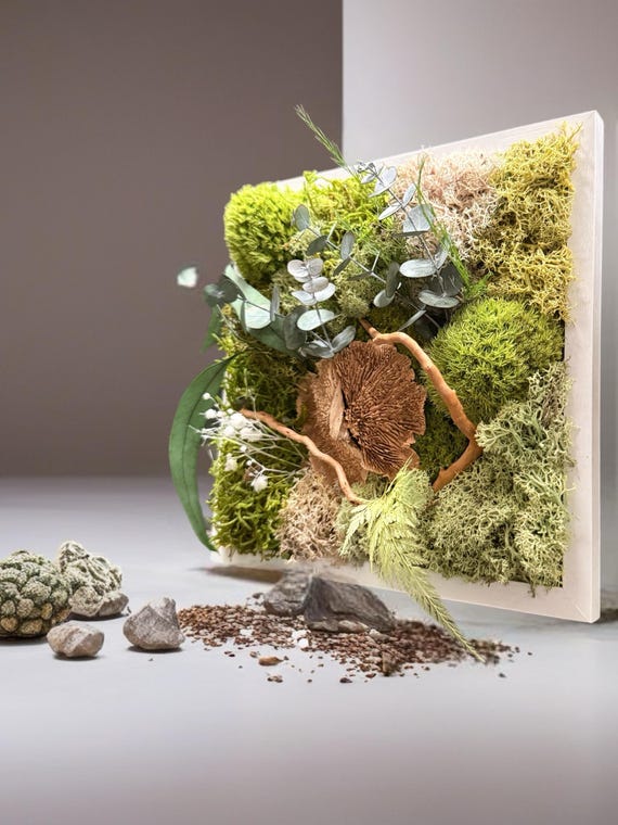 Cadre Végétal Stabilisé « Éveil de la Forêt » – 22 x 22 cm- Eucalyptus et gypsophile