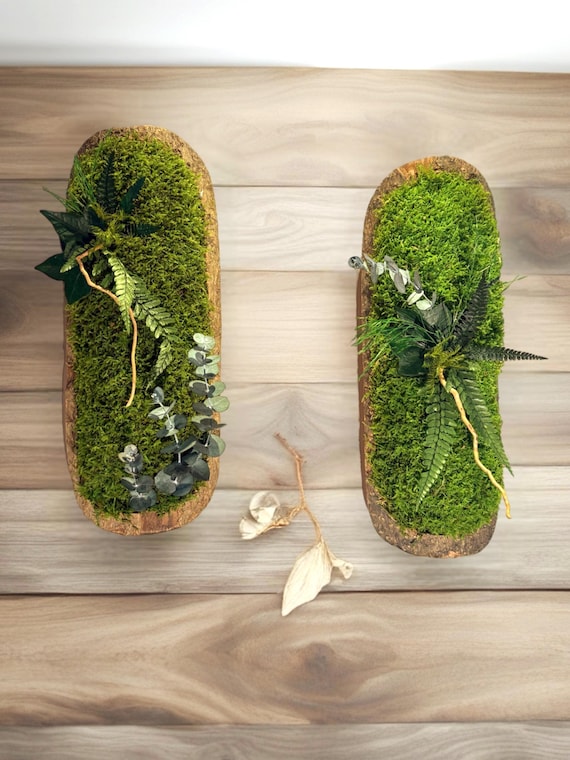 Duo de Cadres Végétaux Stabilisés sur Écorce Naturelle – 36 x 14 cm – décoration murale naturelle