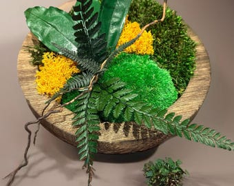 Marco redondo para plantas – Musgo preservado y follaje natural – Decoración de pared o mesa