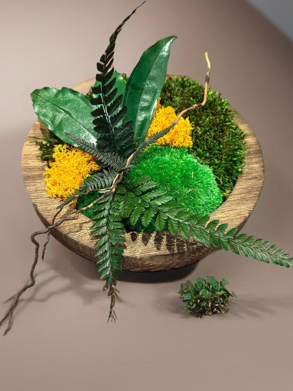 Cadre végétal rond– Mousse stabilisée et feuillage naturel – Décoration murale ou à poser