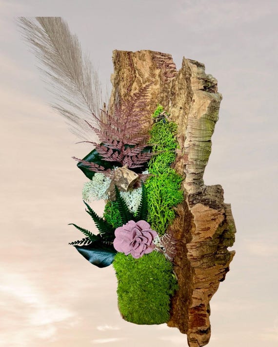 Tableau végétal stabilisé « apaisement et bien-être intérieur » - Écorce végétalisée - Décoration d'intérieur à poser ou accrocher - Unique