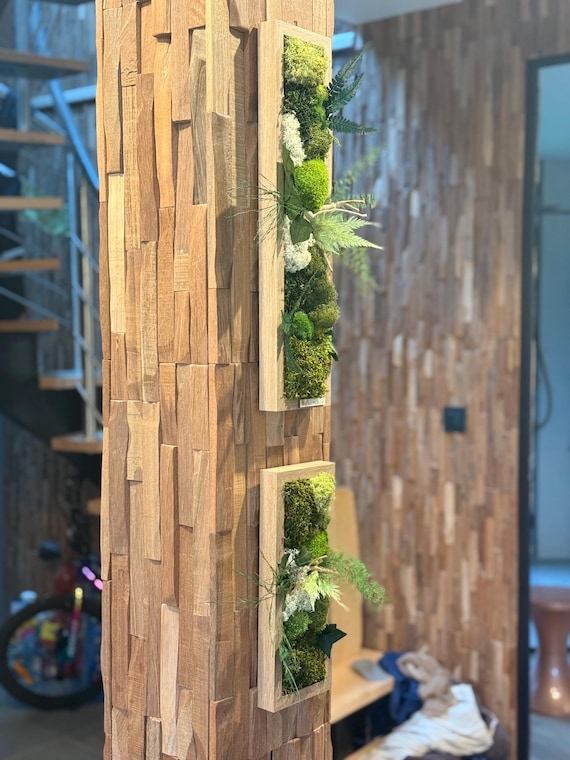 Cadre végétal étroit stabilisé mural– Composition naturelle verticale en bois– Déco zen design- Art végétal sans entretien