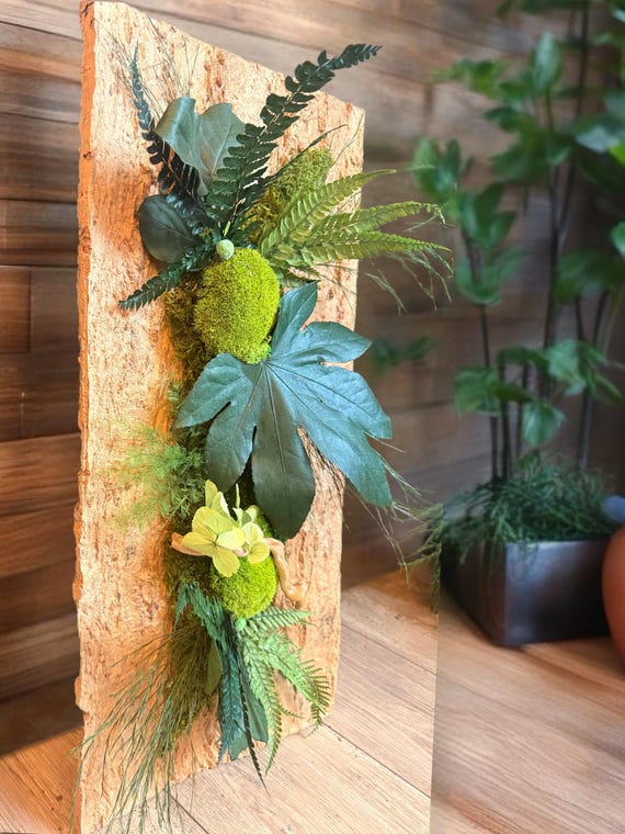 Cadre végétal stabilisé en écorce naturelle – Décoration murale zen 60x30 cm– Art végétal relief avec bois flotté – Pièce unique nature chic