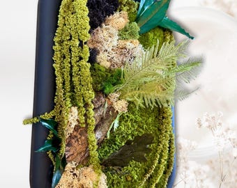 Cadre végétal stabilisé en mousse et fougères – Décoration murale naturelle artisanale – Forêt miniature design en bois et lichen