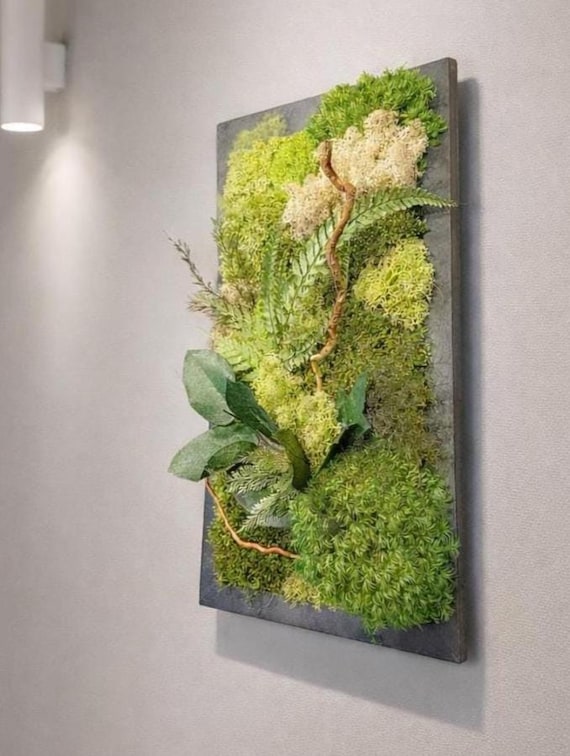 Cadre végétal mural en mousse et feuillage stabilisé – Décoration murale naturelle artisanale – Cadeau unique naturel