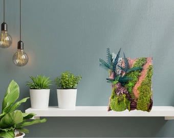 Cadre végétal forêt enchantée – Mousse stabilisée et écorce naturelle – Déco d'intérieur murale bois et fougères à poser ou accrocher