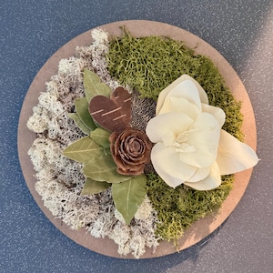 Rond gestabiliseerd salie plantenframe