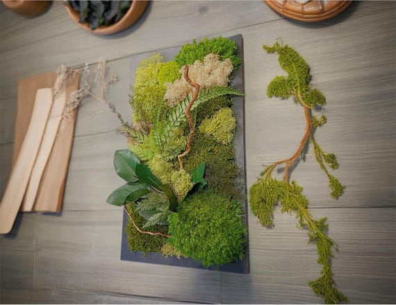 Cadre végétal mural en mousse et feuillage stabilisé – Décoration murale naturelle artisanale – Cadeau unique naturel