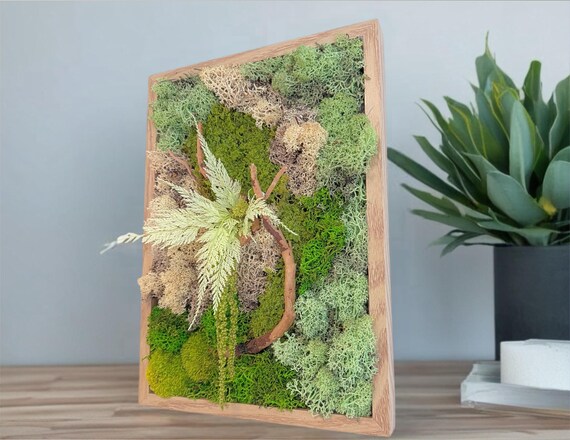 Tableau végétal mousse  stabilisée 100% naturel- Déco d'intérieur - Pièce unique- Fait main