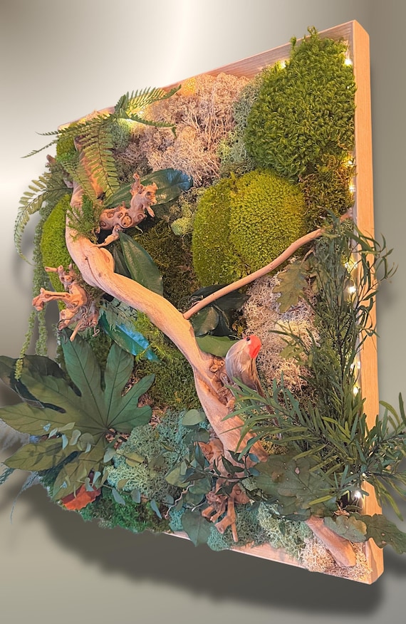 Cadre végétal en mousse stabilisée avec éclairage LED – Tableau mural nature en bois, décoration murale verdure, cadeau original fait main