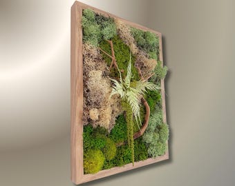 Tableau végétal mousse  stabilisée 100% naturel- Déco d'intérieur - Pièce unique- Fait main