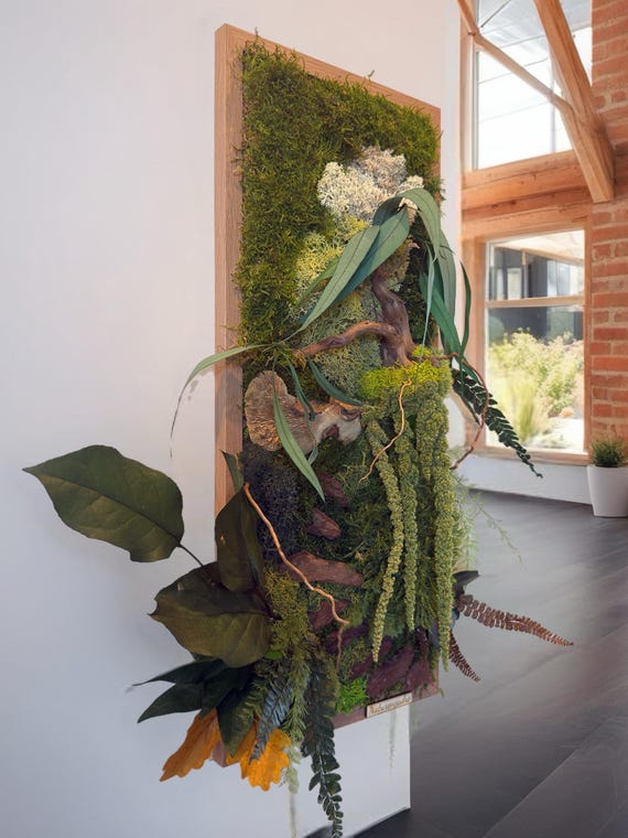 Tableau mural végétal stabilisé mural 60*40 avec mousse stabilisée, bois flotté, eucalyptus et feuillage tombant- Cadre artisanal unique-