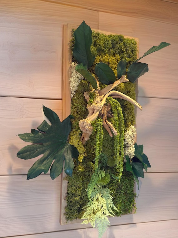 Cadre végétal mural 54×24 cm– décoration naturelle avec bois flotté, mousse stabilisée et feuillages – mur végétal design fait main