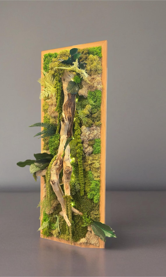 Cadre végétal mural en mousse stabilisée – Décoration d'intérieur murale nature – Pièce unique avec bois flotté et feuillage - Grand format