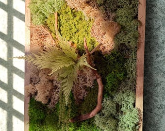 Tableau végétal mousse  stabilisée 100% naturel- Déco d'intérieur - Pièce unique- Fait main