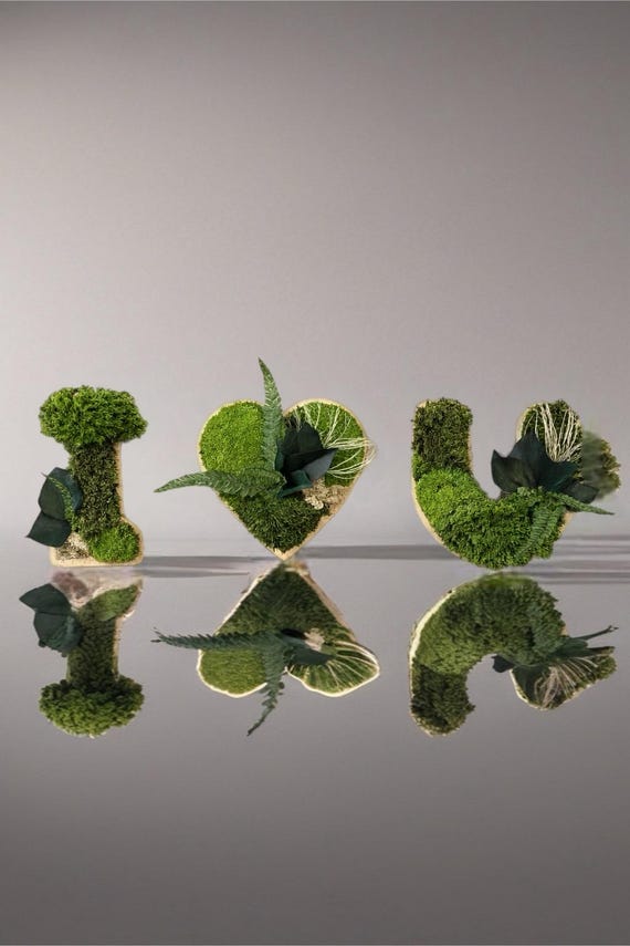 Décoration murale végétale I love you– Lettres en mousse stabilisée– Cadeau couple original– Art végétal naturel amour