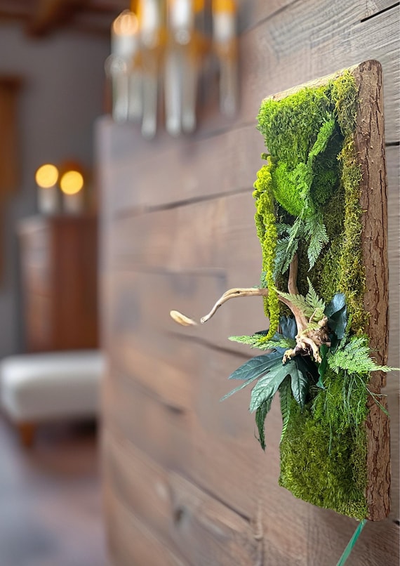 Cadre végétal stabilisé vertical– Mousse naturelle et bois flotté – Cadre en écorce – Décoration murale nature