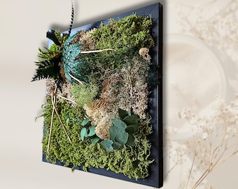 Cadre végétal stabilisé en mousse et feuillage – décoration murale naturelle avec bois flotté – tableau végétal artisanal sans entretien
